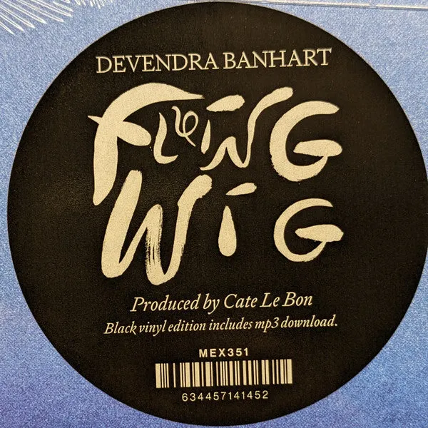 Devendra Banhart ~ Flying Wig